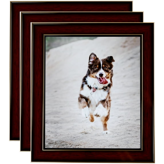 ArtToFrames 8" x 12" Honors Mahogany with Gold Picture Frame, 8x12 inch Brown Wood Poster Frame (WOM-5156), 3 Pack