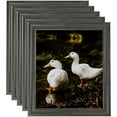 thumbnail image 1 of ArtToFrames 8" x 12" Slate Gray Picture Frame, 8x12 inch Gray MDF Poster Frame (WOM-4679), 5 Pack, 1 of 6