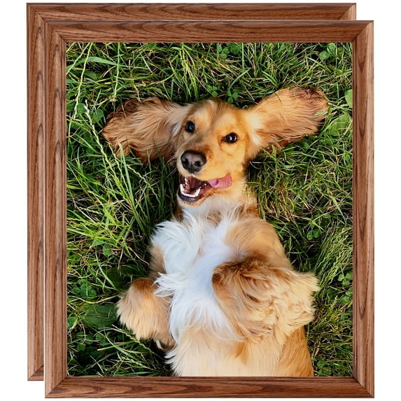 ArtToFrames 8" x 14" Honey Oak Picture Frame, 8.5x14 inch Brown Wood Poster Frame (WOM-4380), 2 Pack