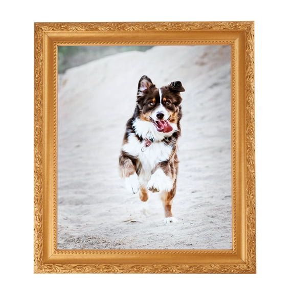 ArtToFrames 8" x 20" Bright Gold Picture Frame, 8x20 inch Gold Wood Poster Frame (WOM-4928), 1 Pack