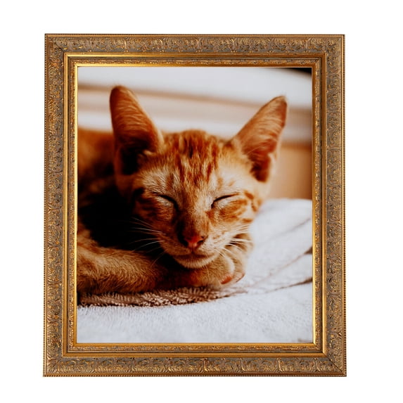 ArtToFrames 8" x 20" Gold with Green Tones Picture Frame, 8x20 inch Gold Wood Poster Frame (WOM-5079), 1 Pack