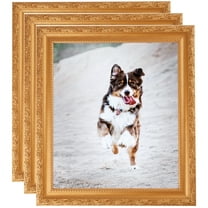 ArtToFrames 8" x 23" Bright Gold Picture Frame, 8x23 inch Gold Wood Poster Frame (WOM-4928), 3 Pack