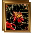 thumbnail image 1 of ArtToFrames 8" x 8" Gold Step Picture Frame, 8x8 inch Gold Wood Poster Frame (WOM-4548), 2 Pack, 1 of 7