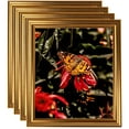 thumbnail image 1 of ArtToFrames 8" x 8" Gold Step Picture Frame, 8x8 inch Gold Wood Poster Frame (WOM-4548), 4 Pack, 1 of 7