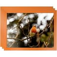 thumbnail image 1 of ArtToFrames 8" x 8" Orange Picture Frame, 8x8 inch Red Wood Poster Frame (WOM-4750), 3 Pack, 1 of 6