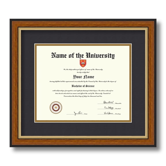 ArtToFrames 8x10 inch Diploma Frame - Framed in Medium Tri-colored Frame with Black and Gold Mats, Comes with Regular Glass and Sawtooth Hanger for Wall Hanging (D-4446-8x10)