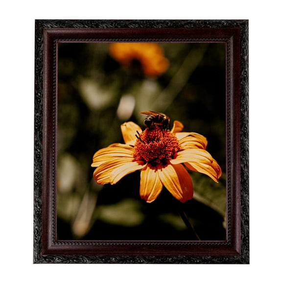 ArtToFrames 8x18" Classic Burgundy Picture Frame, Brown Wood Poster Frame, with Regular Glass and 2 (FBPL-4927)