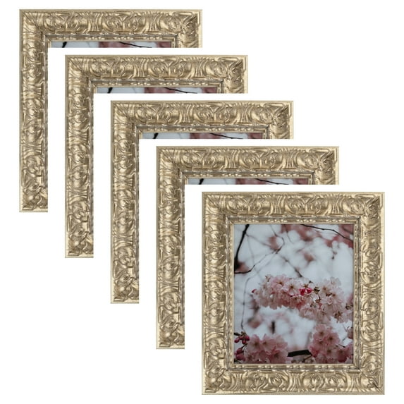 ArtToFrames 9" x 12" Antique Floral Silver Picture Frame, 9x12 inch Multi Wood Poster Frame (WOM-5168), 5 Pack
