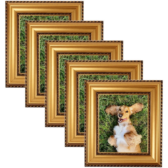 ArtToFrames 9" x 12" Antique Gold and Black with rope Picture Frame, 9x12 inch Multi Wood Poster Frame (WOM-5167), 5 Pack