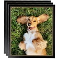thumbnail image 1 of ArtToFrames 9" x 12" Black Square with Gold Beads Picture Frame, 9x12 inch Black Wood Poster Frame (WOM-5021), 3 Pack, 1 of 7