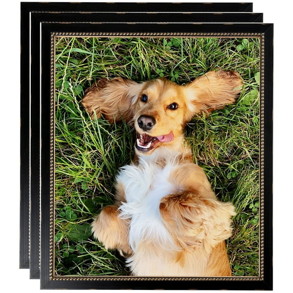 ArtToFrames 9" x 12" Black Square with Gold Beads Picture Frame, 9x12 inch Black Wood Poster Frame (WOM-5021), 3 Pack