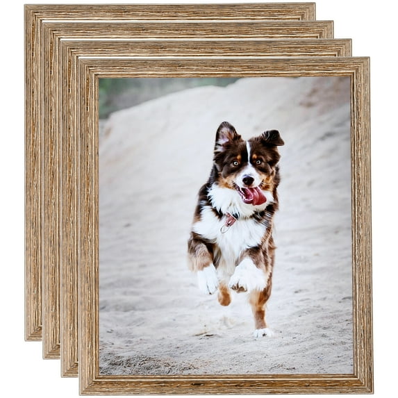 ArtToFrames 9" x 12" Brown Picture Frame, 9x12 inch Brown Wood Poster Frame (WOM-4717), 4 Pack
