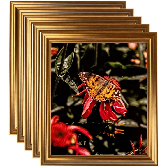 ArtToFrames 9" x 12" Gold Step Picture Frame, 9x12 inch Gold Wood Poster Frame (WOM-4548), 5 Pack