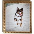thumbnail image 1 of ArtToFrames 9" x 12" Gold with Star Picture Frame, 9x12 inch Gold Wood Poster Frame (WOM-4755), 2 Pack, 1 of 6