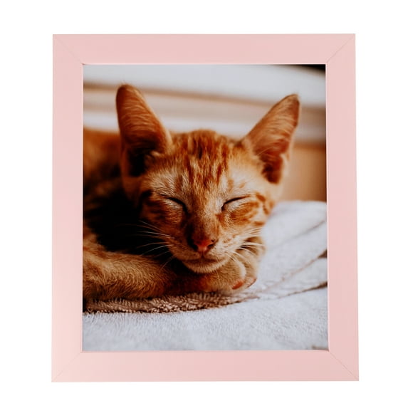 ArtToFrames 9" x 12" Pink Picture Frame, 9x12 inch Pink Wood Poster Frame (WOM-4120), 1 Pack