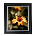 thumbnail image 1 of ArtToFrames 9" x 9" Black Velvet with Silver - 2 Picture Frame, 9x9 inch Black MDF Poster Frame (WOM-4693), 1 Pack, 1 of 6