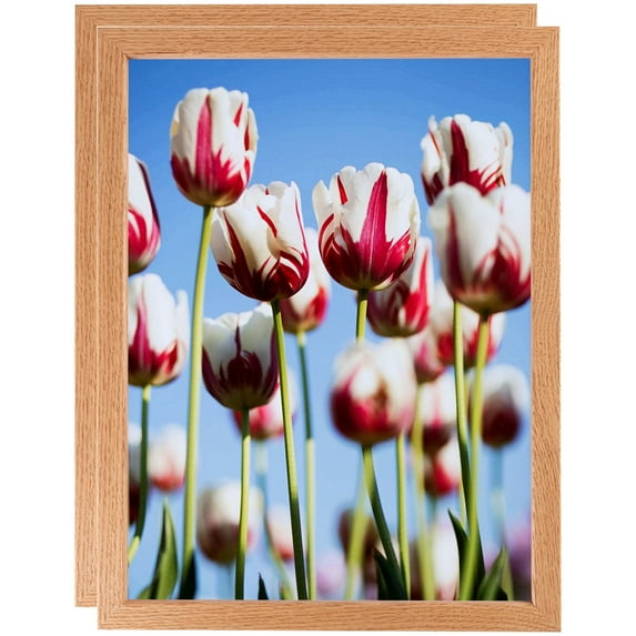 ArtToFrames 9" x 9" Red Oak Wood Picture Frame, 9x9 inch Brown Wood Poster Frame (WOM-4878), 2 Pack