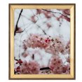 thumbnail image 1 of ArtToFrames 9x10" Gold And Stained Brown Picture Frame, Gold Wood Poster Frame, with Regular Glass and 2 (FBPL-4766), 1 of 7