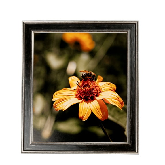 ArtToFrames 9x11" Black Panel With Silver Lip Picture Frame, Multi Wood Poster Frame, with Regular Glass and 2 (FBPL-5093)