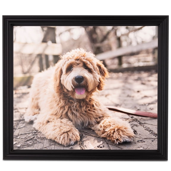 ArtToFrames 9x12" Black Picture Frame, Black Wood Poster Frame, with Regular Glass and Foam Backing 3/16 inch (FBPL-4102)