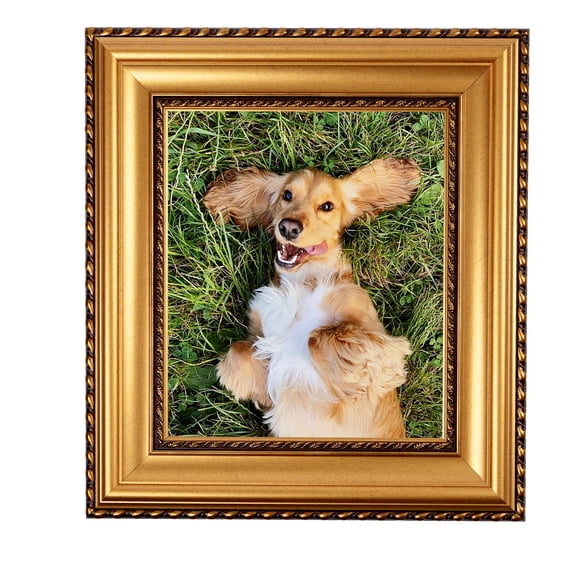 ArtToFrames 9x20" Other Picture Frame, Multi Wood Poster Frame, with Regular Glass and 2 (FBPL-5167)