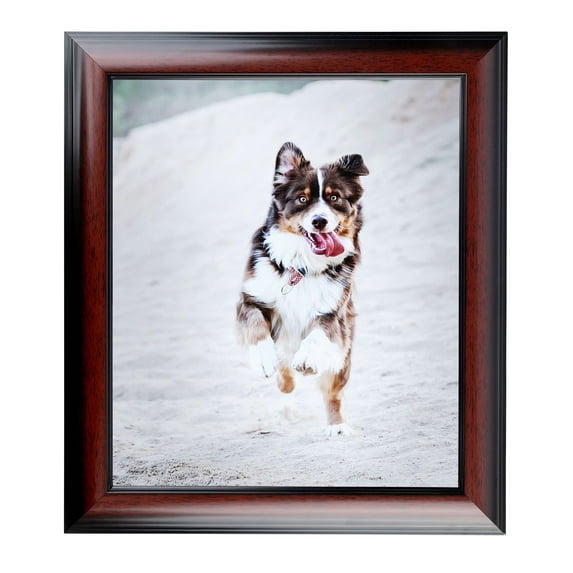ArtToFrames 9x36" Matte mahogany Diploma Picture Frame, Brown Wood Poster Frame, with Regular Acrylic and 2 (FBPL-5108)