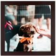 thumbnail image 1 of ArtToFrames 9x9" Mahogany Picture Frame, Brown MDF Poster Frame, with Regular Glass and Foam Backing 3/16 inch (FBPL-3978), 1 of 8