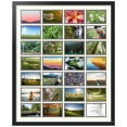 thumbnail image 1 of ArtToFrames Collage Photo Picture Frame with 28 - 4x6" Openings, Framed in Black with Chantilly and Black Mats (CDM-3926-2071), 1 of 7
