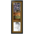 thumbnail image 1 of ArtToFrames Collage Photo Picture Frame with 3 - 8.5x11" Openings, Framed in Black with Coronado and Black Mats (CDM-3926-867), 1 of 7