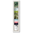 thumbnail image 1 of ArtToFrames Collage Photo Picture Frame with 5 - 5x7 Openings, Framed in White with French Creme and Black Mats (CDM-3966-9999), 1 of 1