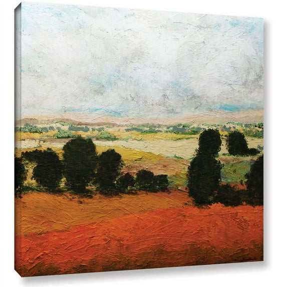 ArtWall Allan Friedlander "45 Acres" Gallery-Wrapped Canvas