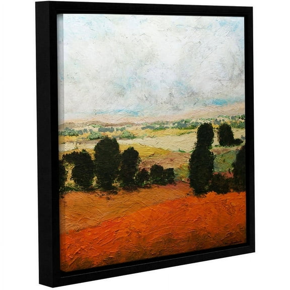 ArtWall Allan Friedlander "45 Acres" Gallery-Wrapped Floater-Framed Canvas