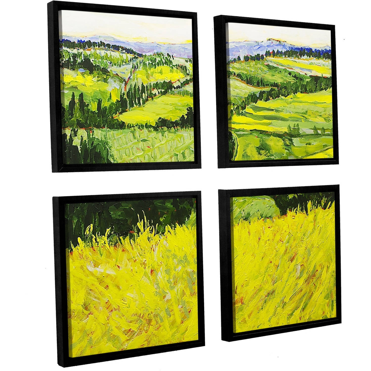 ArtWall Allan Friedlander "Deep Valley" 4-Piece Floater Framed Canvas Square Set