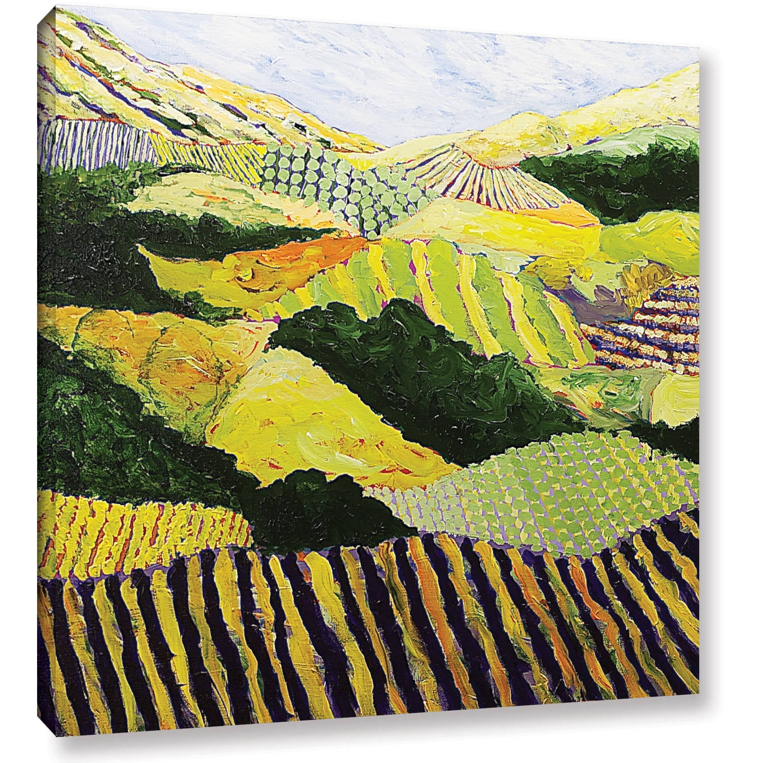 ArtWall Allan Friedlander "Delta Fields" Gallery-Wrapped Canvas