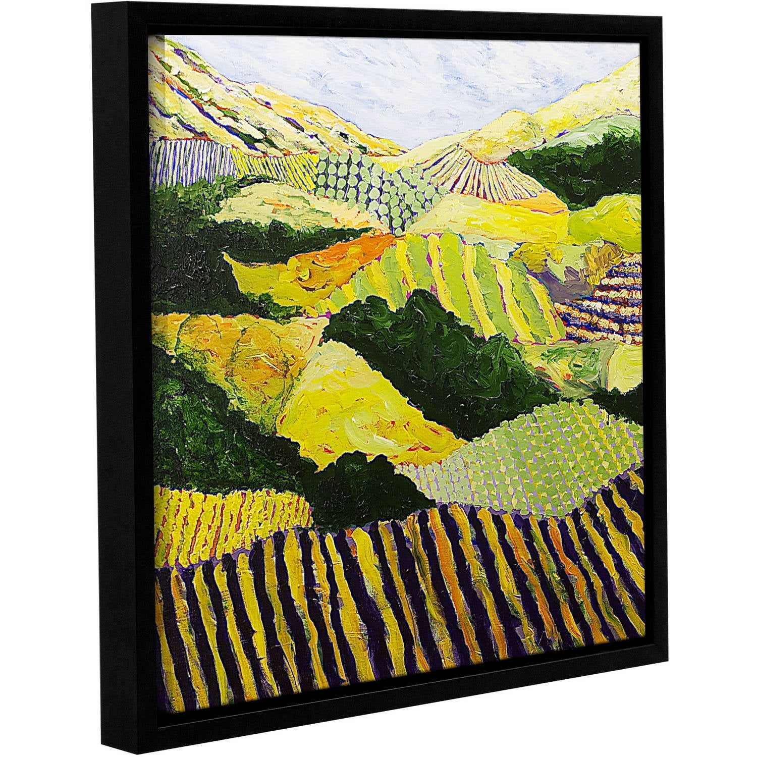 ArtWall Allan Friedlander "Delta Fields" Gallery-Wrapped Floater-Framed Canvas