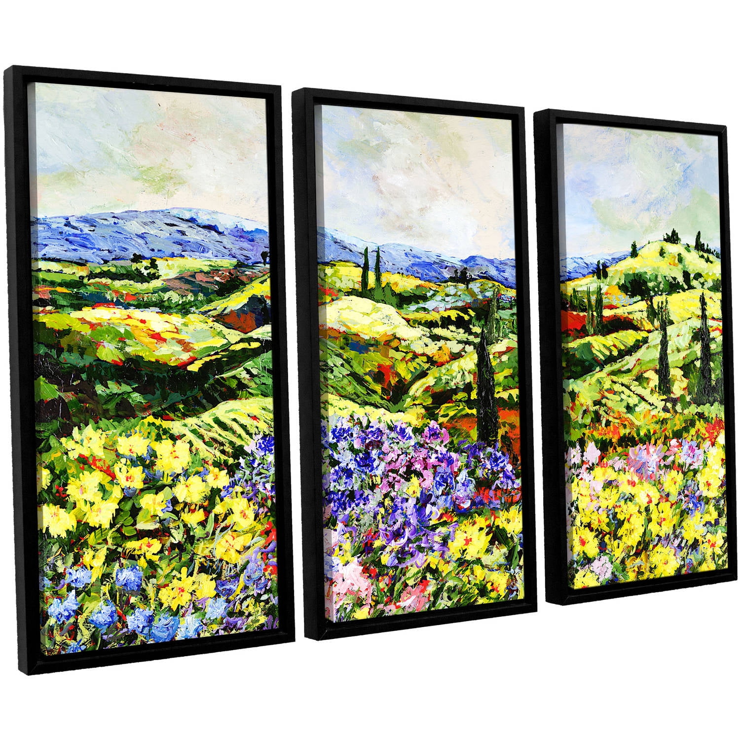 ArtWall Allan Friedlander "Dream Valley" 3-Piece Floater Framed Canvas Set