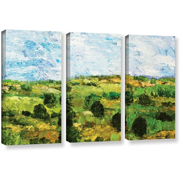 ArtWall Allan Friedlander "Just Roll Along" 3-Piece Gallery-wrapped Canvas Set