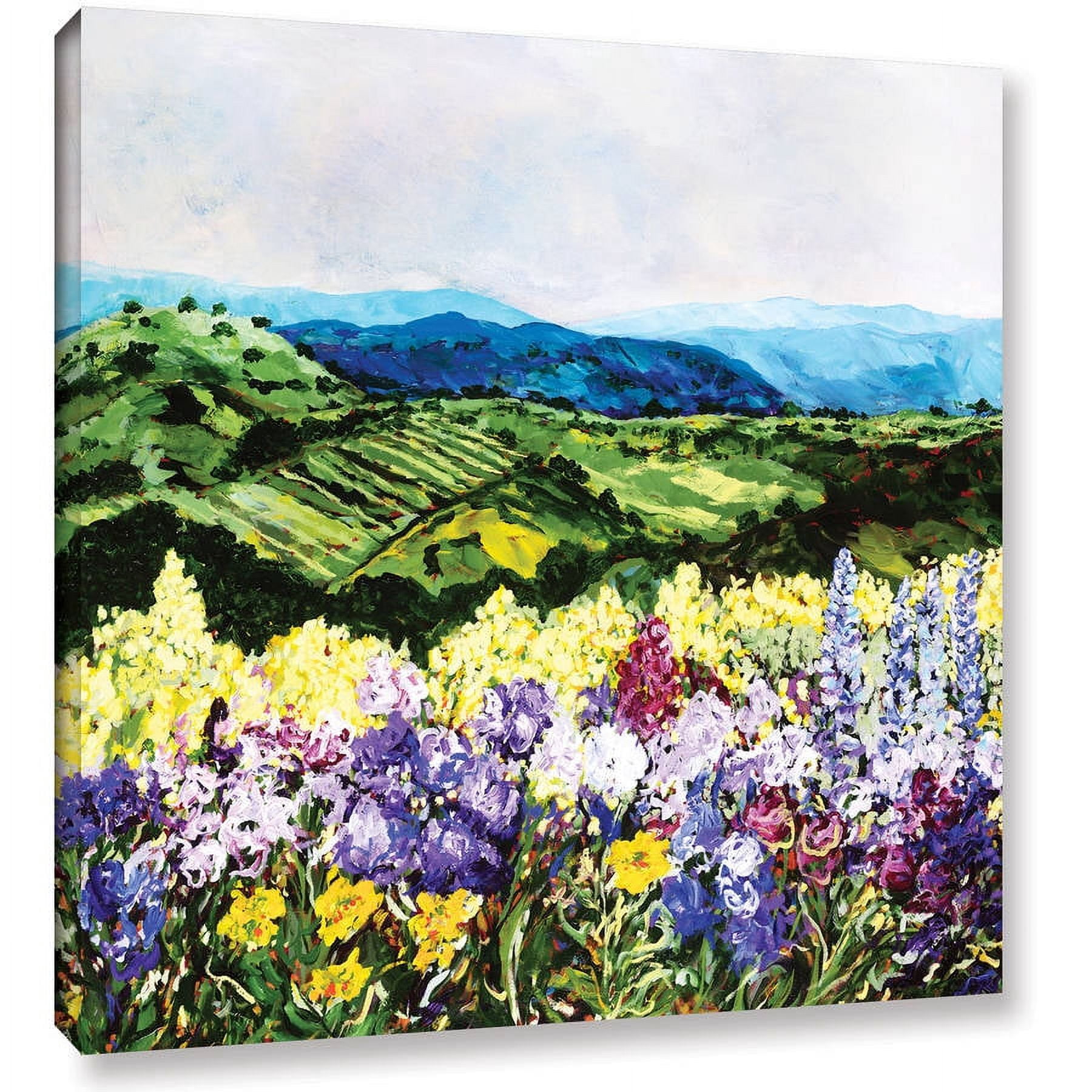 ArtWall Allan Friedlander "Pollinator's Ravine" Gallery-wrapped Canvas