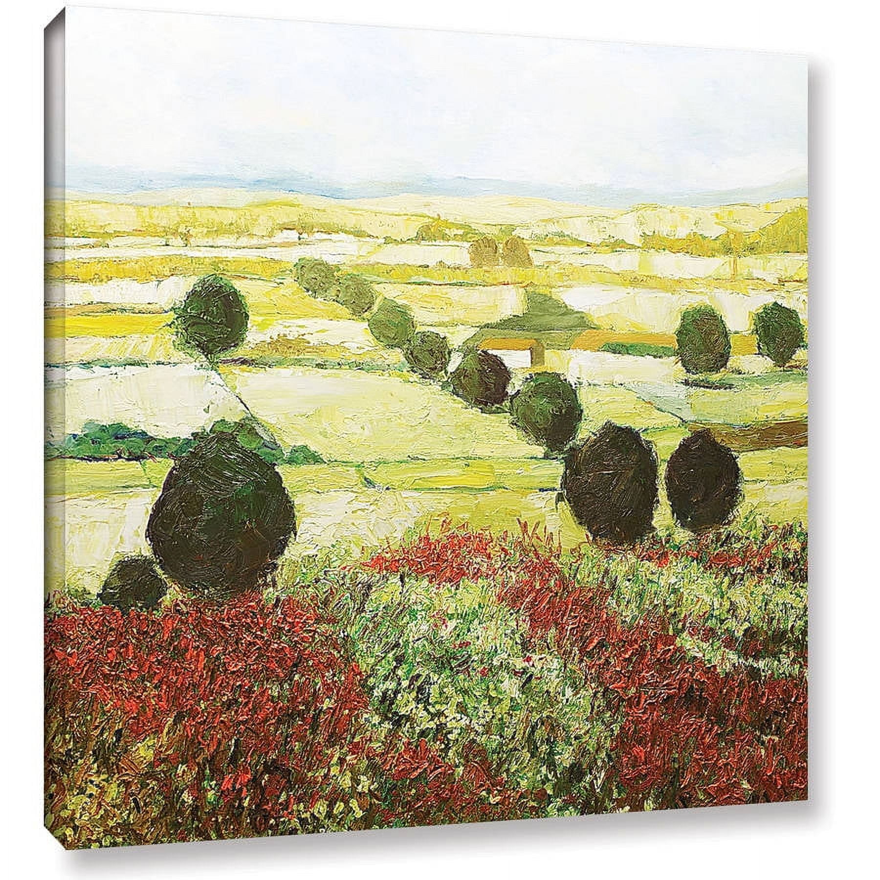 ArtWall Allan Friedlander "Wildflower Valley" Gallery-wrapped Canvas