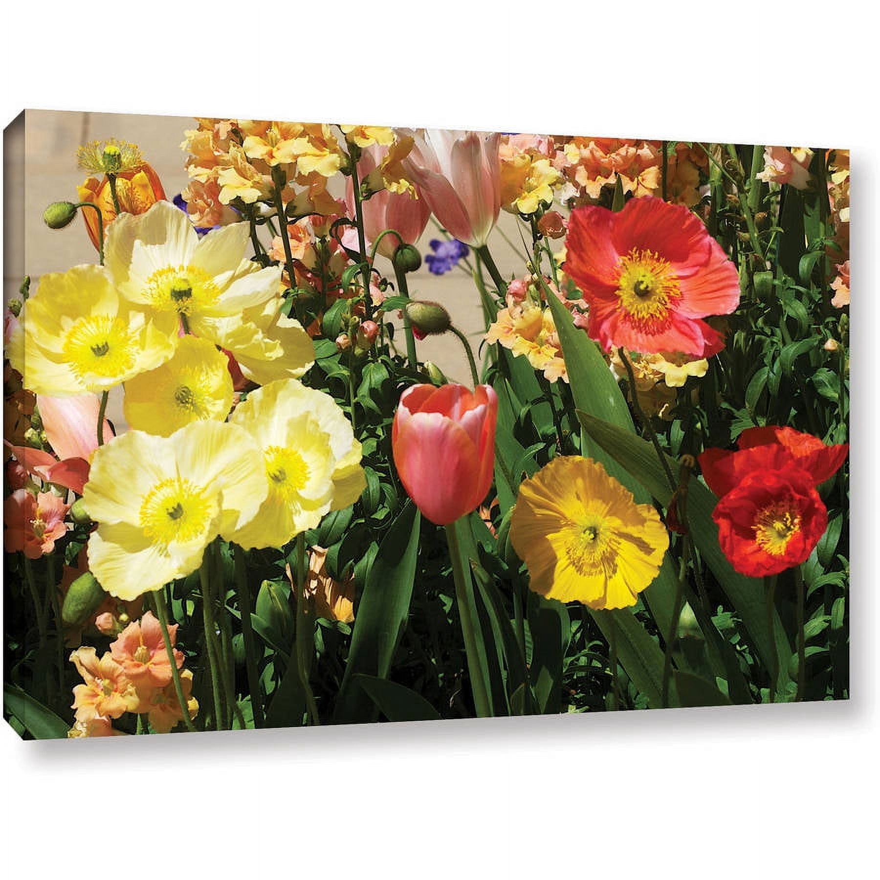 ArtWall Allan Friedlander "Yellow Flowers" Gallery-wrapped Canvas