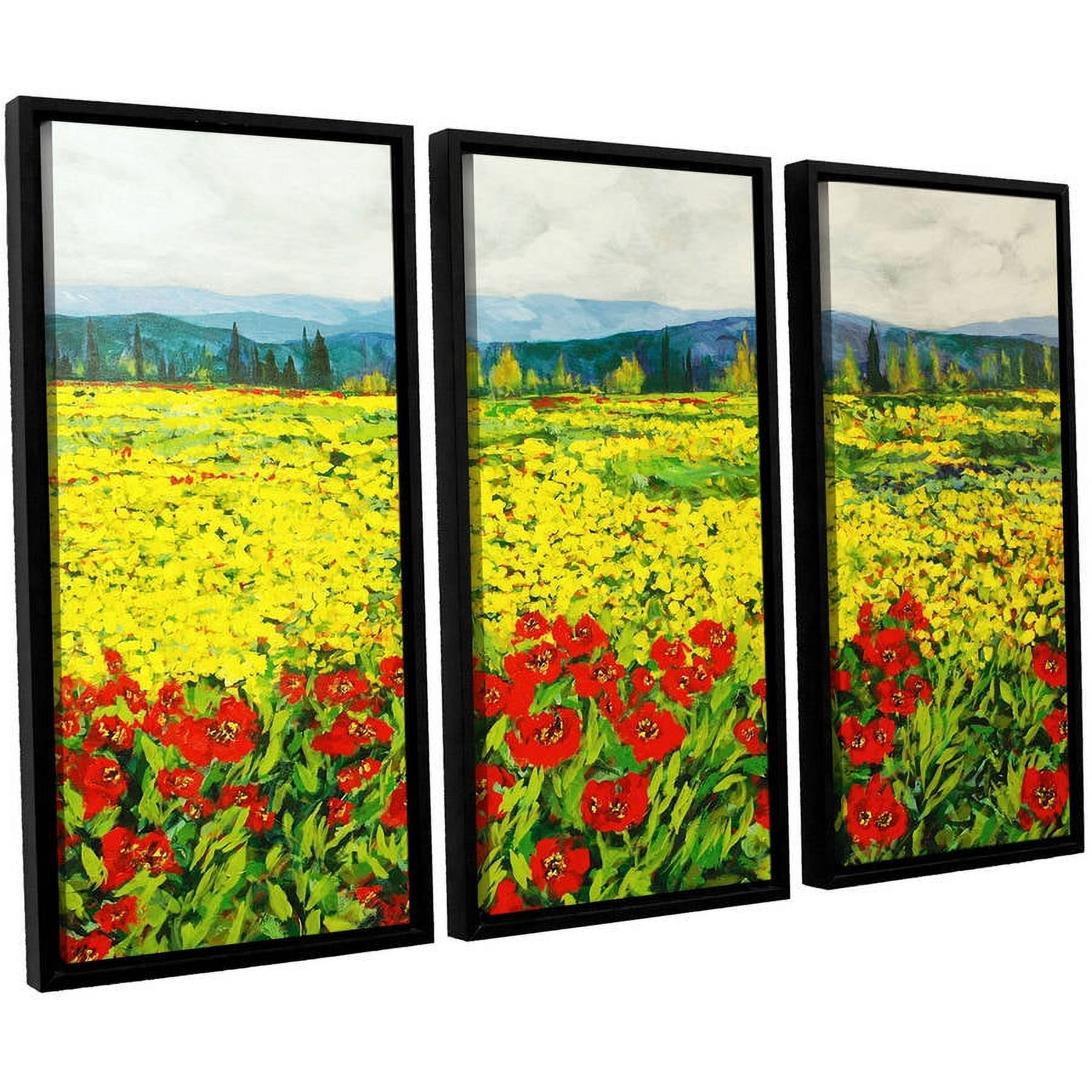 ArtWall Allan Friedlander "Zone De Fleurs" 3-Piece Floater-framed Canvas Set