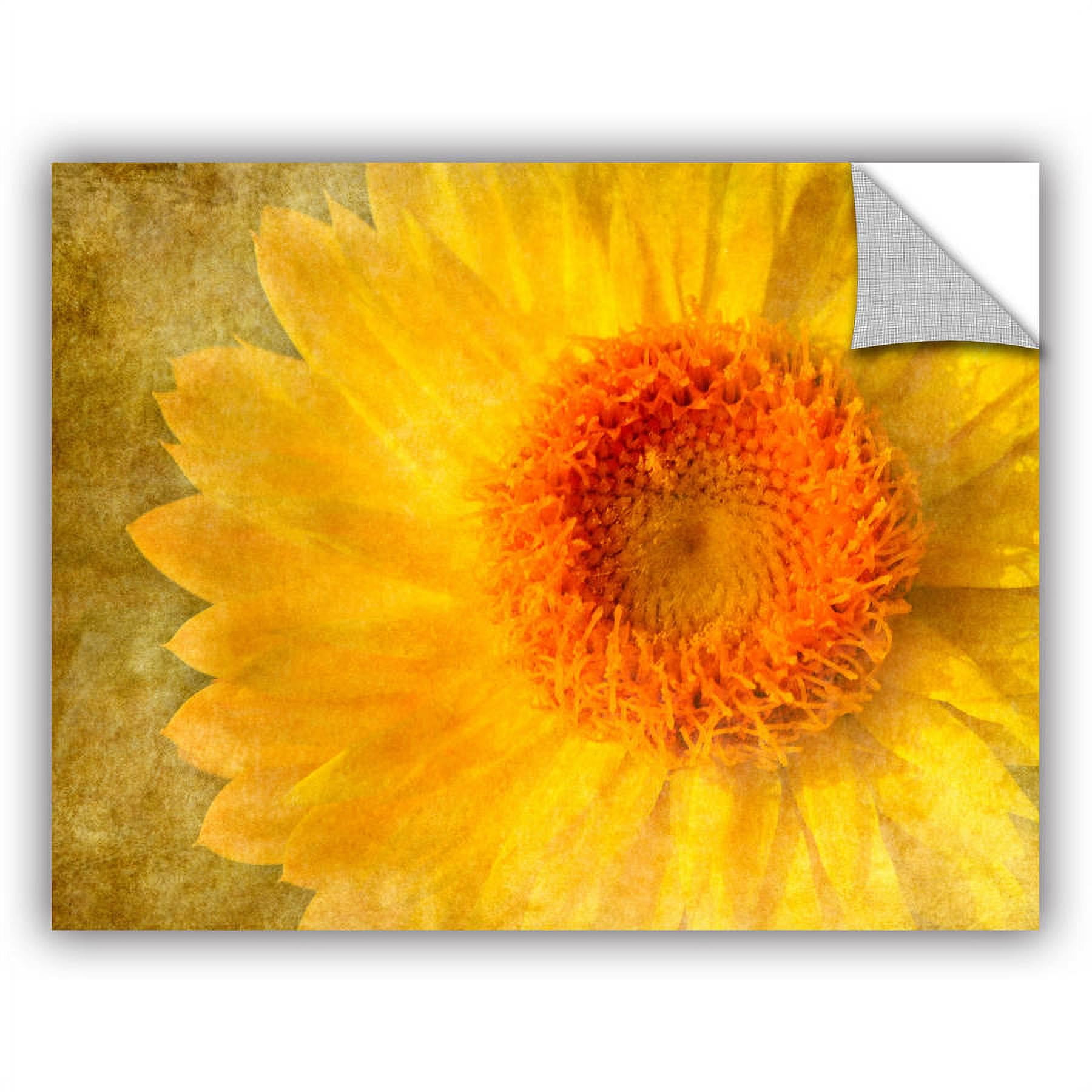 ArtWall Antonio Raggio  ' Flowers In Focus 1 ' Art Appealz Removable Wall Art