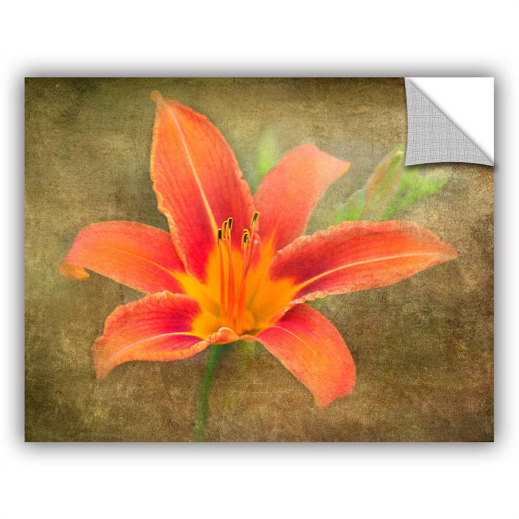 ArtWall Antonio Raggio  ' Flowers In Focus 4 ' Art Appealz Removable Wall Art