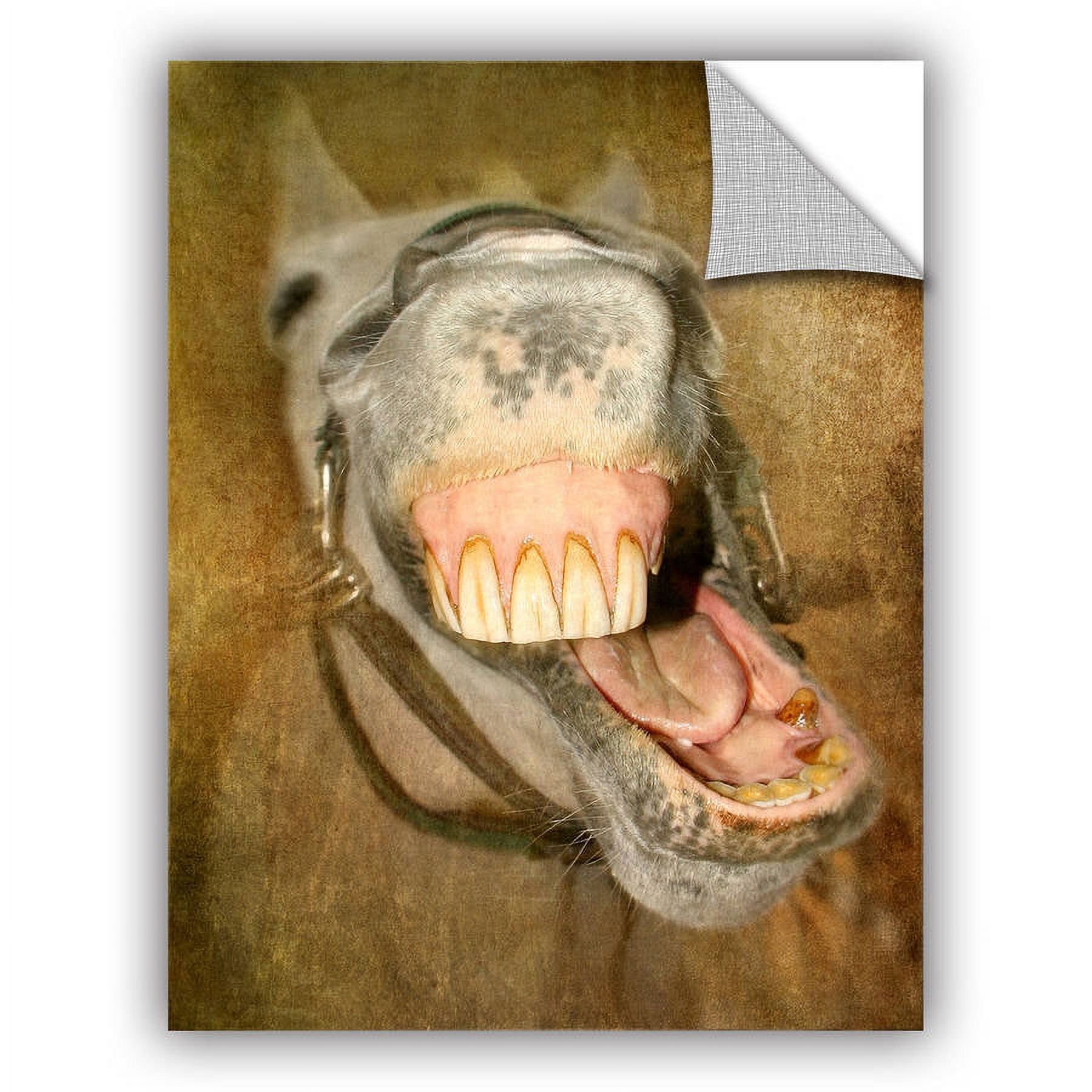 ArtWall Antonio Raggio "Laughing Horse" 36” x 24” Framed Art Print