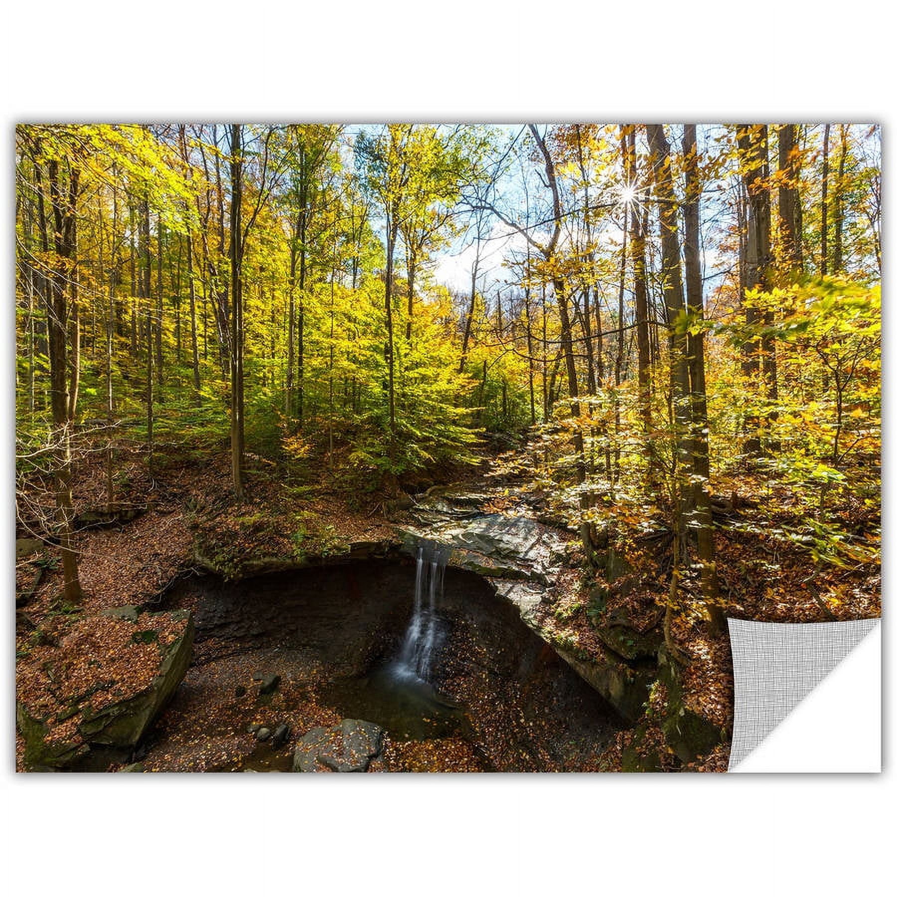 ArtWall Cody York " Blue Hen Falls " Art Appealz Removable Wall Art