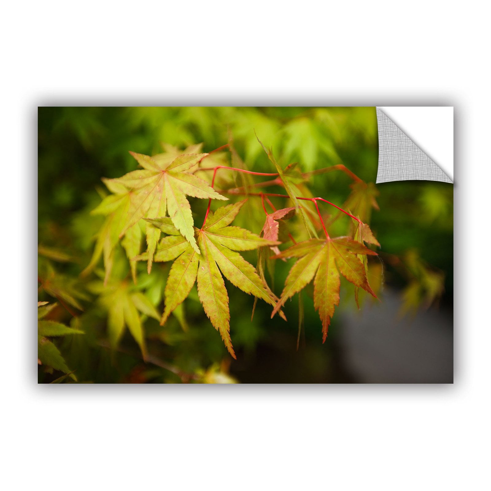 ArtWall Cody York "Portland Japanese Garden 4" ArtAppealz Removable Wall Art