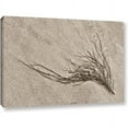 thumbnail image 1 of ArtWall Cora Niele "Beach Find I" Gallery-Wrapped Canvas, 1 of 1