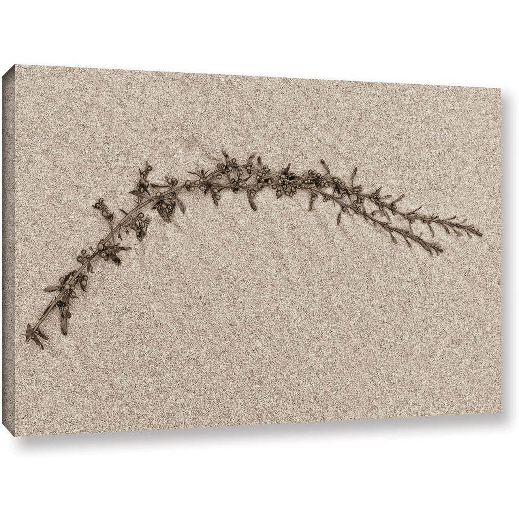 ArtWall Cora Niele "Beach Find II" Gallery-Wrapped Canvas