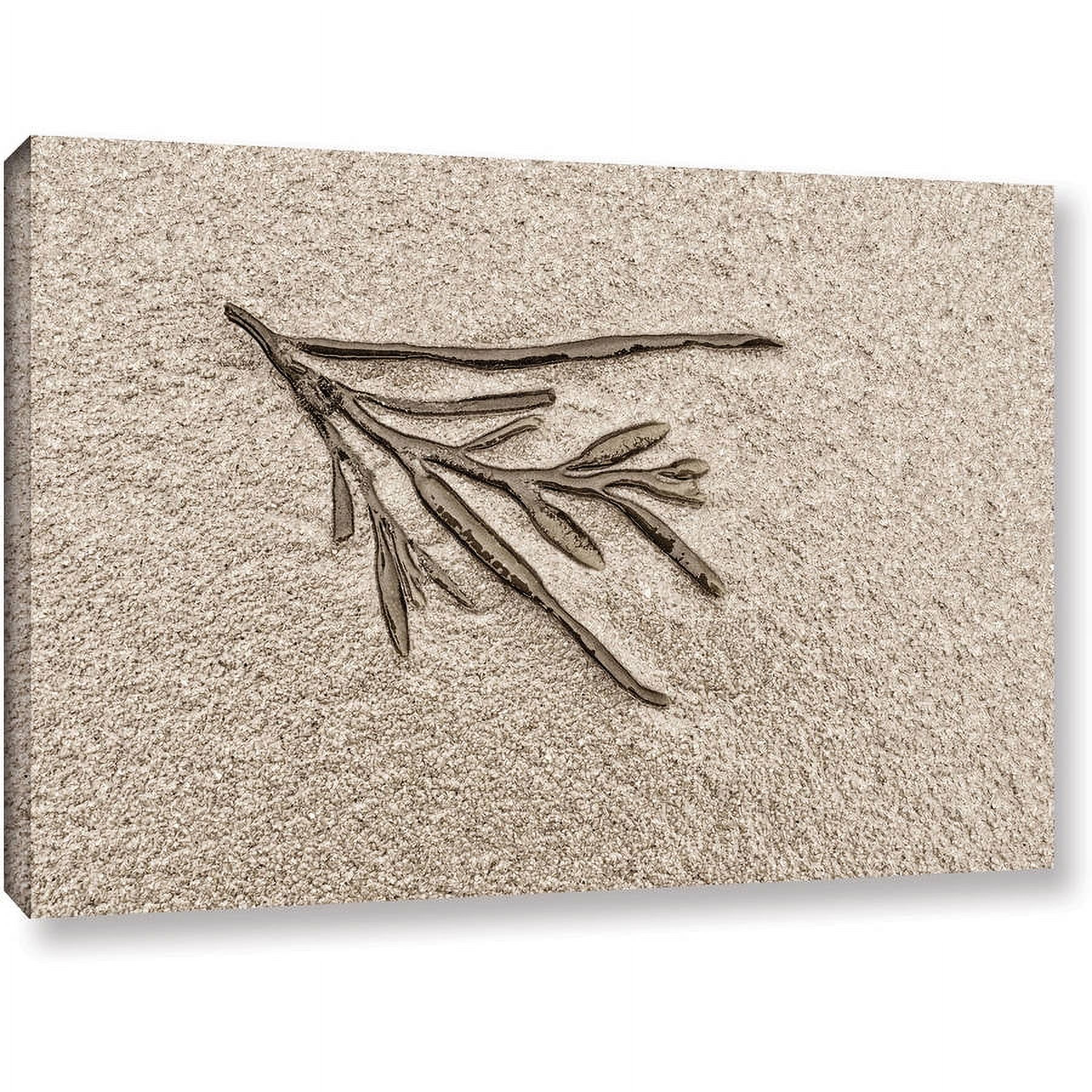 ArtWall Cora Niele "Beach Find III" Gallery-Wrapped Canvas
