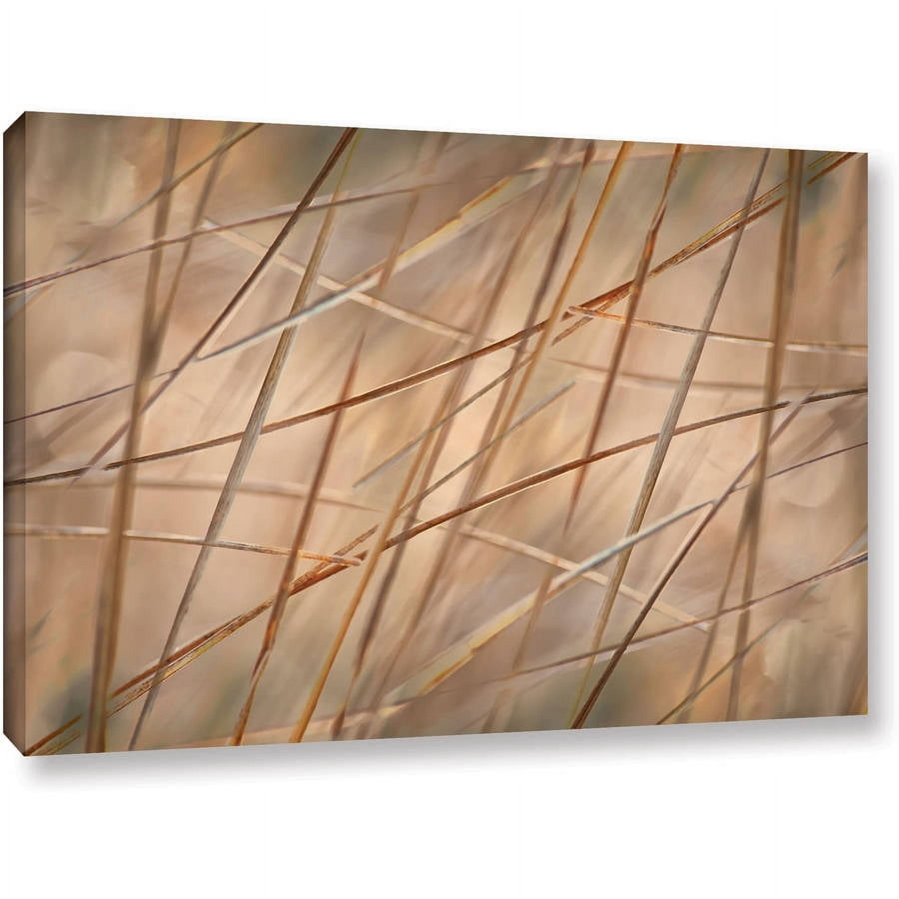 ArtWall Cora Niele "Deschampsia" Gallery-Wrapped Canvas
